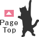 Page Top