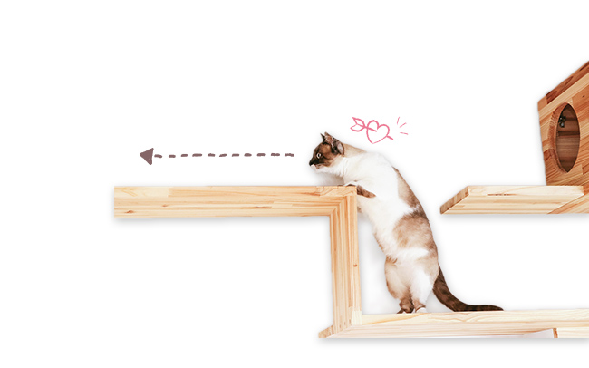 ねころびハウスとは