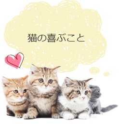 猫の喜ぶこと