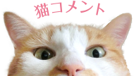 猫コメント