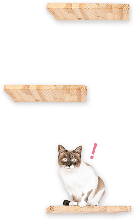 ねころびハウスご利用の流れ