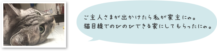 ご主人さまが出かけたら私が家主にゃ。猫目線でのびのびできる家にしてもらったにゃ。