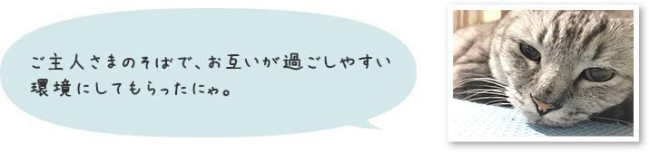 ご主人さまのそばで、お互いが過ごしやすい環境にしてもらったにゃ。