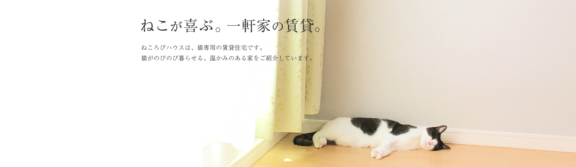 ねこが喜ぶ。一軒家の賃貸。